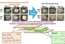 Researchers- in -Japan -Develop- Green- Tea-Based -Film -for -Oral -Mucositis- Relief