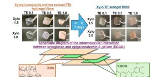 Researchers- in -Japan -Develop- Green- Tea-Based -Film -for -Oral -Mucositis- Relief