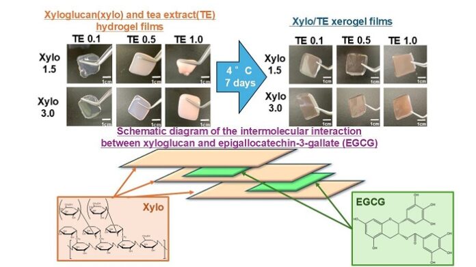 Researchers- in -Japan -Develop- Green- Tea-Based -Film -for -Oral -Mucositis- Relief