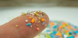 dementia-and-microplastics-investigating-a-potential-connection