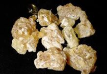 frankincense-oil-a-natural-remedy-with-promising-but-unproven-cancer-benefits