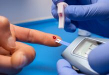 gut-microbiota-a-key-to-blood-sugar-control