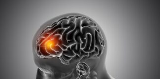 nasal-spray-shows-promise-for-treating-traumatic-brain-injury