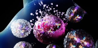 antibody-toxin-conjugate-boosts-cancer-immunotherapy-potential