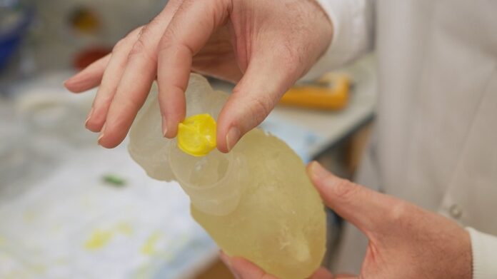 heart-valve-treatment-with-3d-printed-bioresorbable-valves