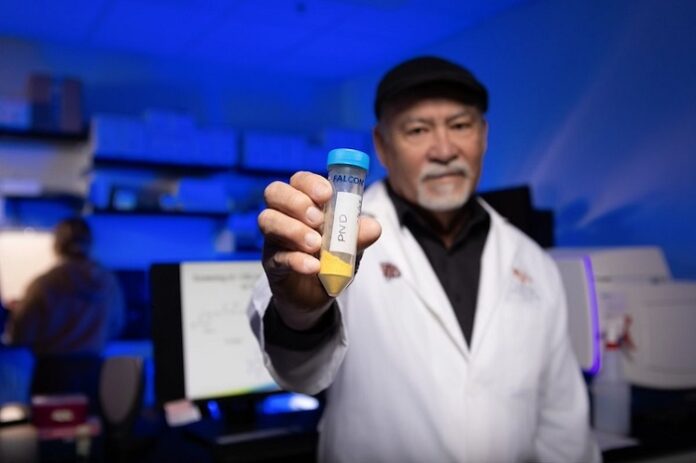 From Malaria to Cancer: Pyronaridine New Role in Medicine from-malaria-to-cancer-pyronaridine-new-role-in-medicine