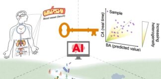 ai-based-blood-test-predicts-biological-age