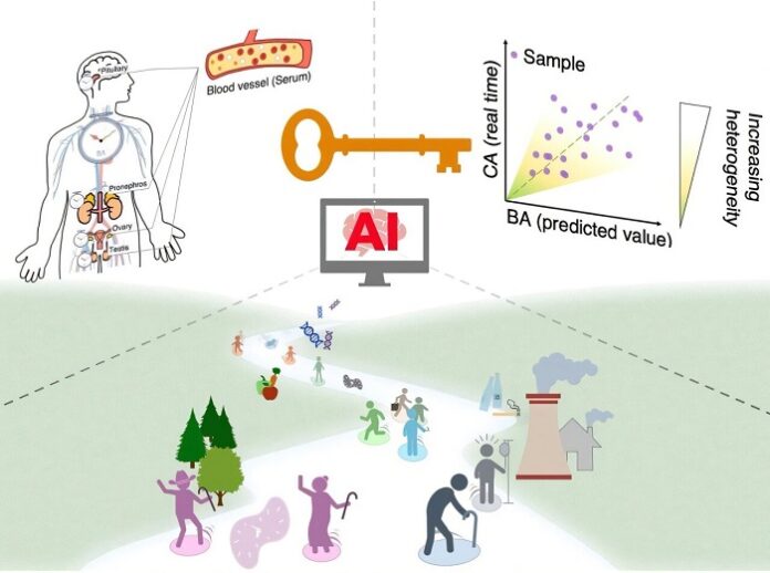 ai-based-blood-test-predicts-biological-age