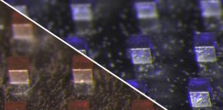 mit-develops-implantable-particles-for-dual-cancer-therapy