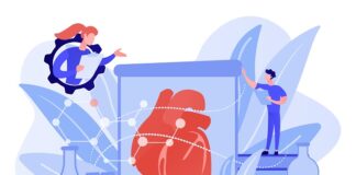 new-research-links-aortic-valve-size-to-calcification-levels