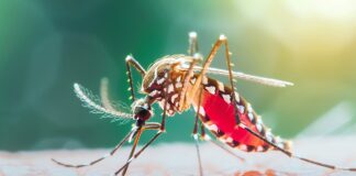 vimkunya-chikungunya-vaccine-now-available-in-the-us