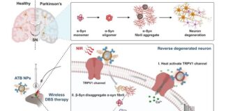 injectable-nanoparticles-reverse-parkinsons-symptoms