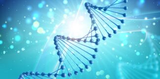 gennova-to-develop-self-amplifying-mrna-vaccine-for-nipah