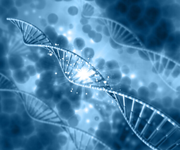 New Genetic Discovery Links Autism to Rare Muscle Disorder new-genetic-discovery-links-autism-to-rare-muscle-disorder