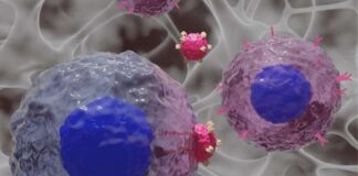 researchers-develop-hydrogels-to-boost-car-t-cell-production