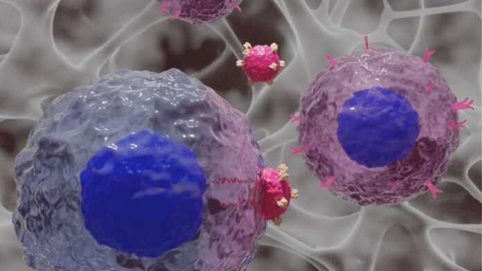 Researchers Develop Hydrogels to Boost CAR T Cell Production researchers-develop-hydrogels-to-boost-car-t-cell-production