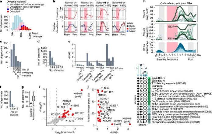 Stanford Study Reveals How Brief Antibiotic Use Drives Persistent Gut Resistance stanford-study-reveals-how-brief-antibiotic-use-drives-persistent-gut-resistance