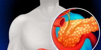 dual-targeting-lysosomes-and-kras-mapk-kills-tumors