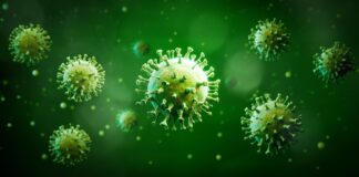 kerala-reports-highest-number-of-active-covid-19-cases-in-india
