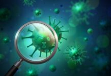 kerala-woman-tests-positive-for-nipah-58-contacts-traced