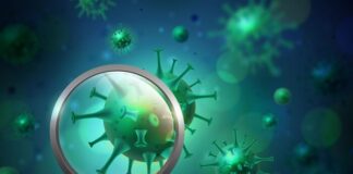 kerala-woman-tests-positive-for-nipah-58-contacts-traced