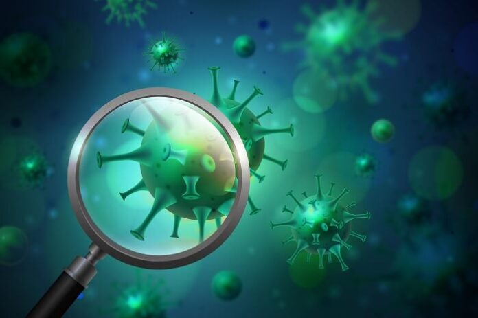 kerala-woman-tests-positive-for-nipah-58-contacts-traced