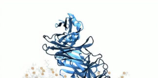 lipid-logic-a-new-path-to-hiv-vaccine-design