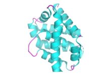 drug-could-stop-neuron-loss-in-neurodegenerative-diseases
