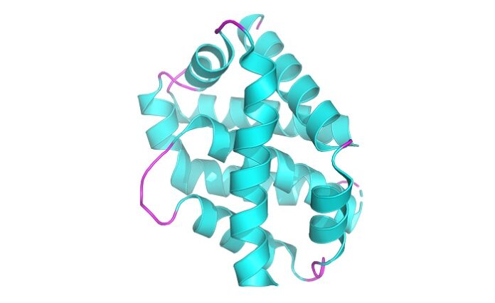 drug-could-stop-neuron-loss-in-neurodegenerative-diseases