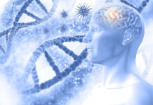 insights-into-the-gut-brain-axis-cells-travel-from-gut-to-brain