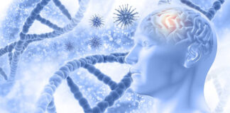 insights-into-the-gut-brain-axis-cells-travel-from-gut-to-brain