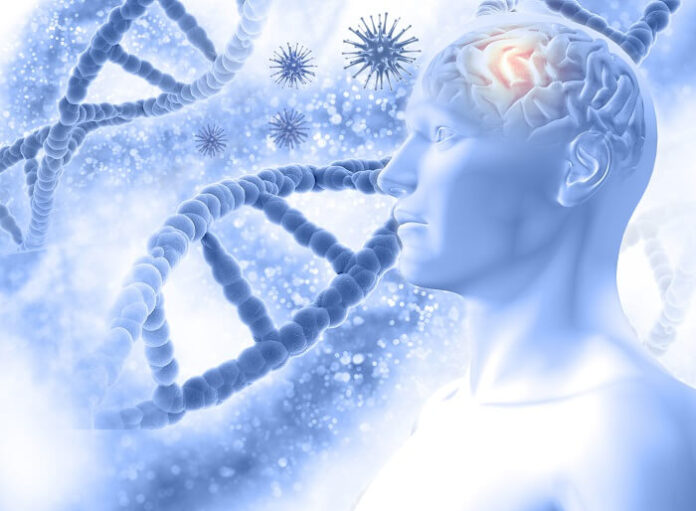 insights-into-the-gut-brain-axis-cells-travel-from-gut-to-brain