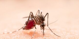 fight-against-malaria-latest-protocols-treatments-and-vaccination-developments-dr-manish-pendse