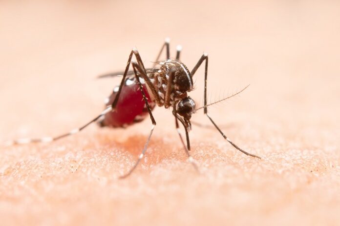 fight-against-malaria-latest-protocols-treatments-and-vaccination-developments-dr-manish-pendse