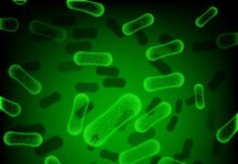 cholera-outbreak-in-odishas-jajpur-district-claims-five-lives