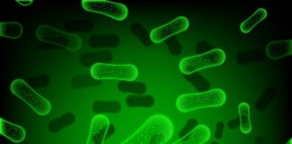 cholera-outbreak-in-odishas-jajpur-district-claims-five-lives
