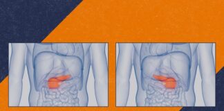 digital-twin-tech-revolutionizes-artificial-pancreas-for-diabetes