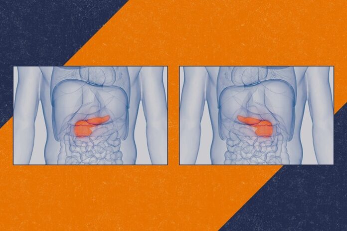 Digital Twin Tech Revolutionizes Artificial Pancreas for Diabetes digital-twin-tech-revolutionizes-artificial-pancreas-for-diabetes