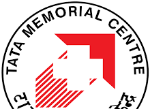 tmcs-impacct-foundation-rewriting-cancer-survivor-futures