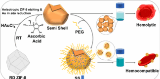 inst-scientists-develop-novel-nanoparticles-for-cancer-treatment