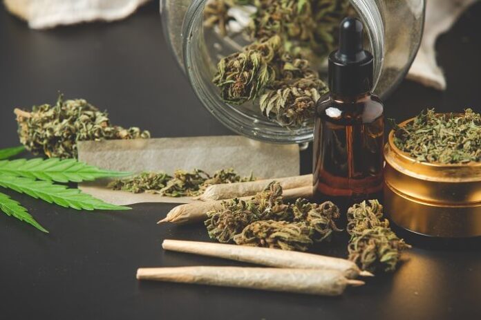 India Faces Burden of Untreated Opioid and Cannabis Addiction india-faces-burden-of-untreated-opioid-and-cannabis-addiction