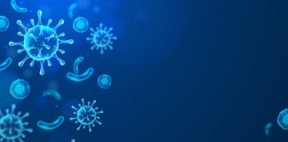 india-unveils-rapid-nipah-virus-detection-kit