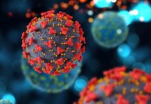 active-covid-19-cases-near-6500-amid-new-variant-surge