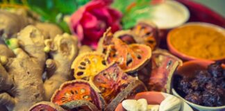 traditional-medicine-takes-a-global-leap-with-who-collaboration