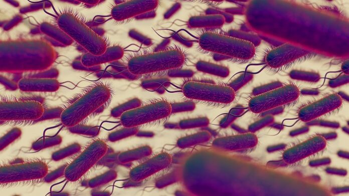 kidney-transplant-turns-life-threatening-after-parasitic-infection