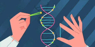 gene-therapy-revives-inactive-genes-by-dna-spacing