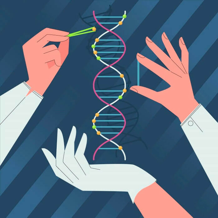 Gene Therapy Revives Inactive Genes by DNA Spacing gene-therapy-revives-inactive-genes-by-dna-spacing