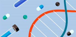 new-genetic-link-to-epilepsy-and-neurodevelopment-discovered