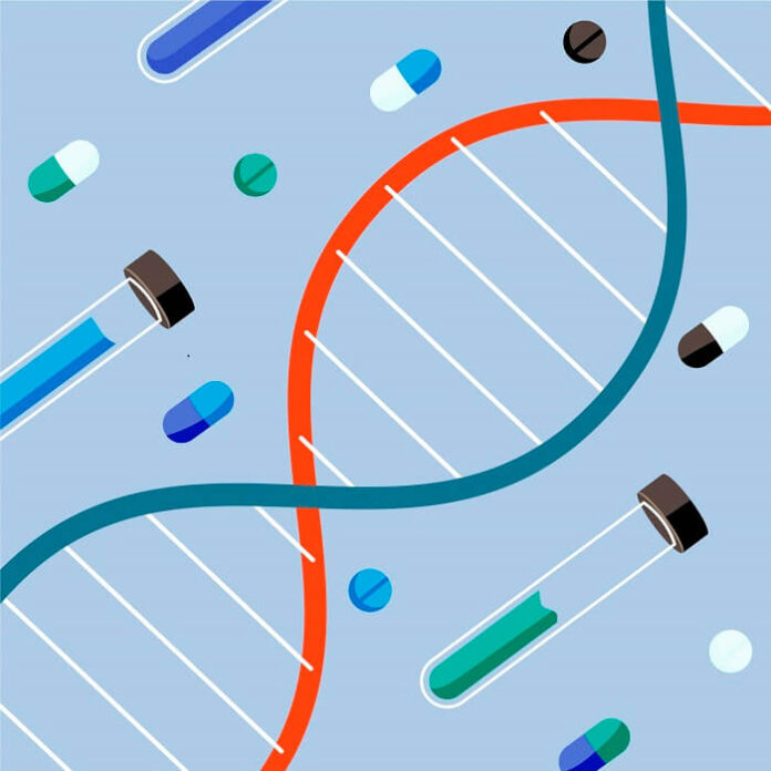 New Genetic Link to Epilepsy and Neurodevelopment Discovered new-genetic-link-to-epilepsy-and-neurodevelopment-discovered