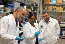 scientists-develop-paper-based-test-for-infectious-diseases